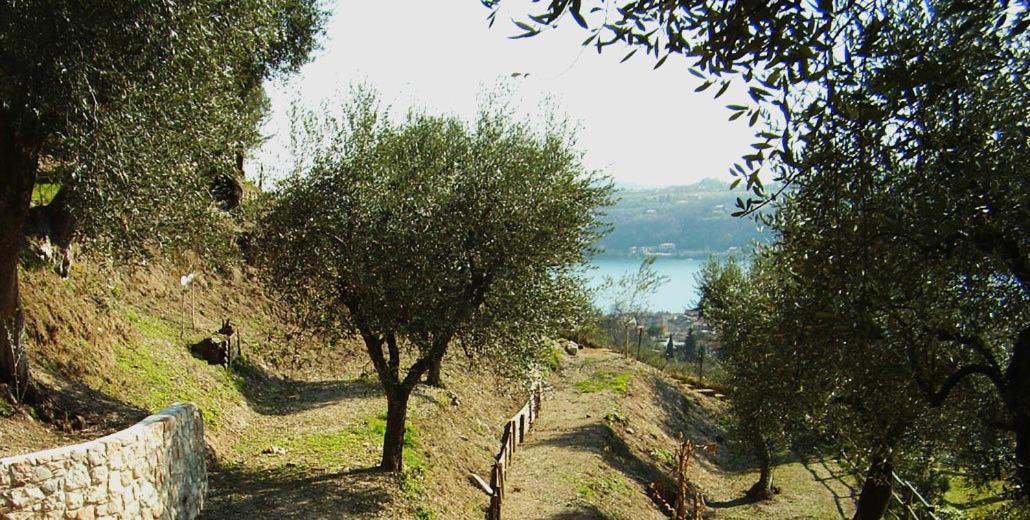 Agriturismo Villa Bissiniga Salò Exterior foto